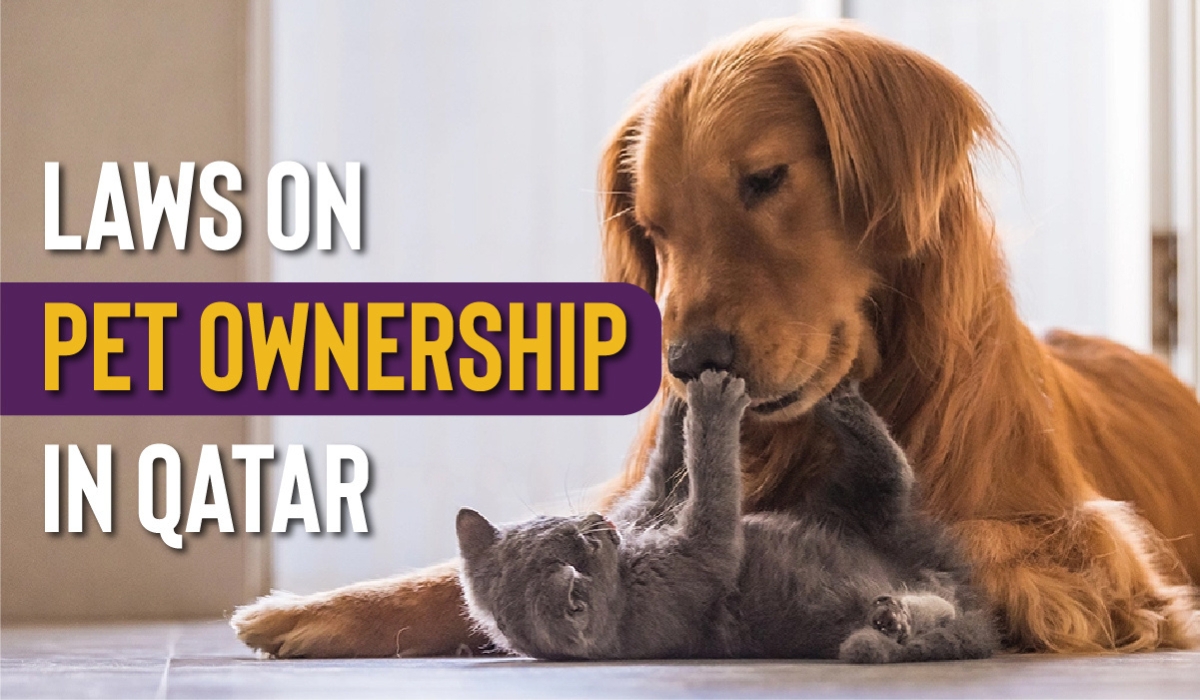 Pets in Qatar